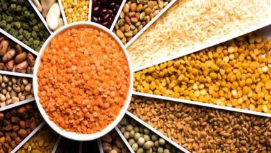 أسعار البقوليات اليوم الإثنين