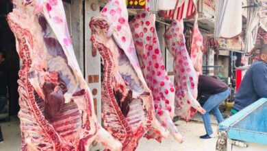 أسعار اللحوم