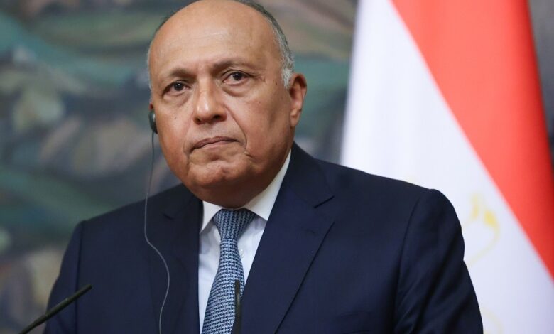 سامح شكري وزير الخارجية