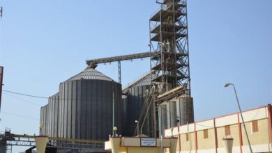 مطاحن وسط وغرب الدلتا