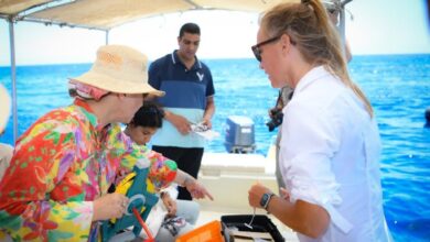 وزيرة البيئة