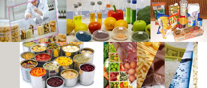 اللجنة الوطنية لنظم الغذاء والتغذية .. ما هي أبرز التحديات التي تنتظرها؟