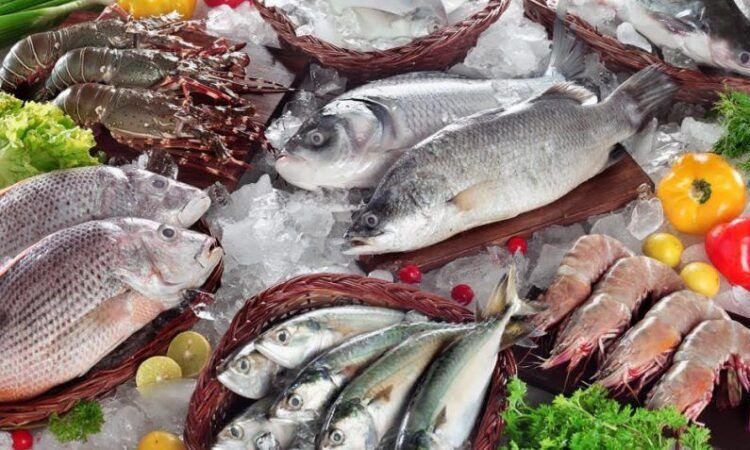 أسعار الأسماك