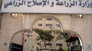 وزارة الزراعة