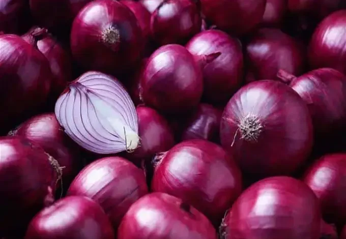 أسعار البصل