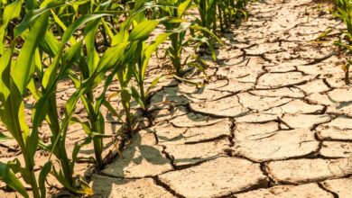 التغيرات المناخية