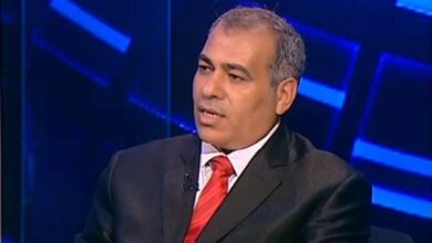 عبد النبي عبد المطلب خبير اقتصادي