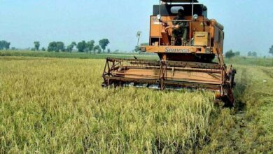 التقلبات الجوية