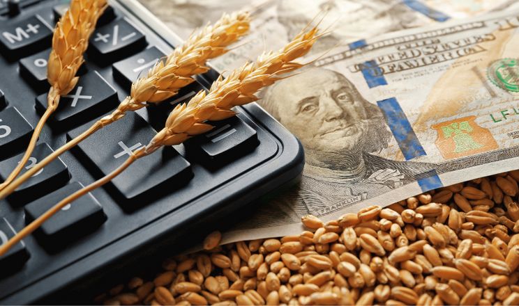 انخفاض أسعار القمح