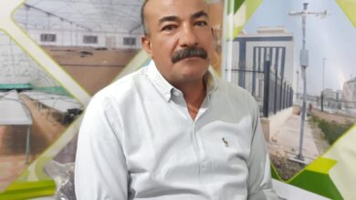 الشروق للصوب الزراعية