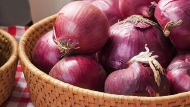 أسعار البصل