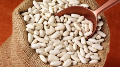 الفاصوليا البيضاء