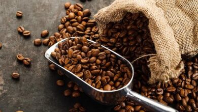 صادرات فيتنام من القهوة