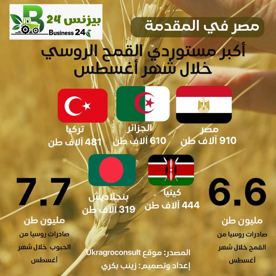 إنفوجراف|مصر أكبر مستوردي القمح الروسي خلال شهر أغسطس