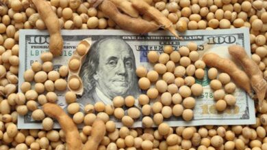 الأسواق العالمية