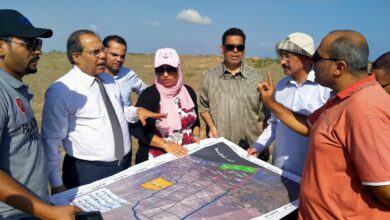 المشروعات الزراعية بسيناء