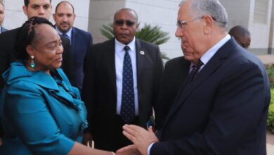 مصر وغينيا