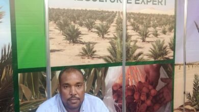 المهندس أحمد عبد الحكم، مدير موقع سيوة الزراعي في شركة بالميرا للاستثمار الزراعي