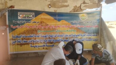 قافلة بيطرية تجوب شمال سيناء