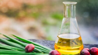 زيت النخيل الماليزي