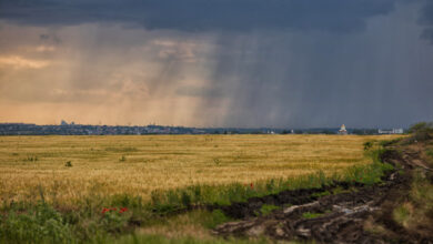 انخفاض توقعات هطول الأمطار