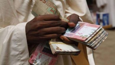 الجنيه السوداني