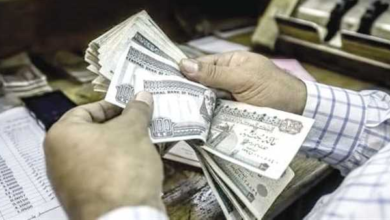 الحد الأدنى للاجور في مصر.