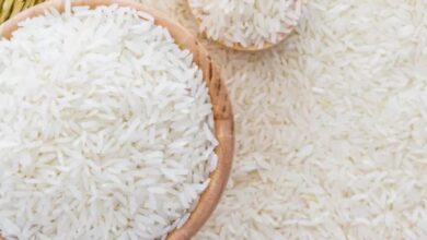 أسعار الأرز اليوم