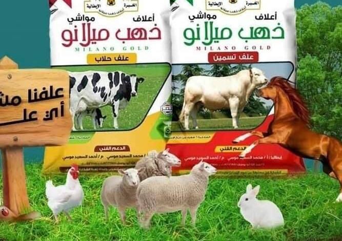 أعلاف ذهب ميلانو