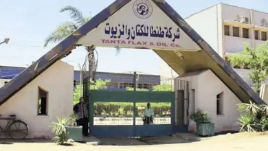 شركة طنطا للكتان