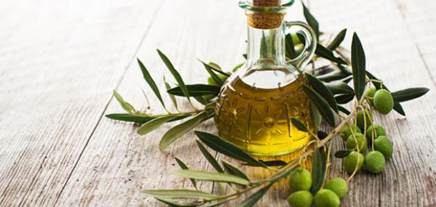 انخفاض إنتاجية الزيتون