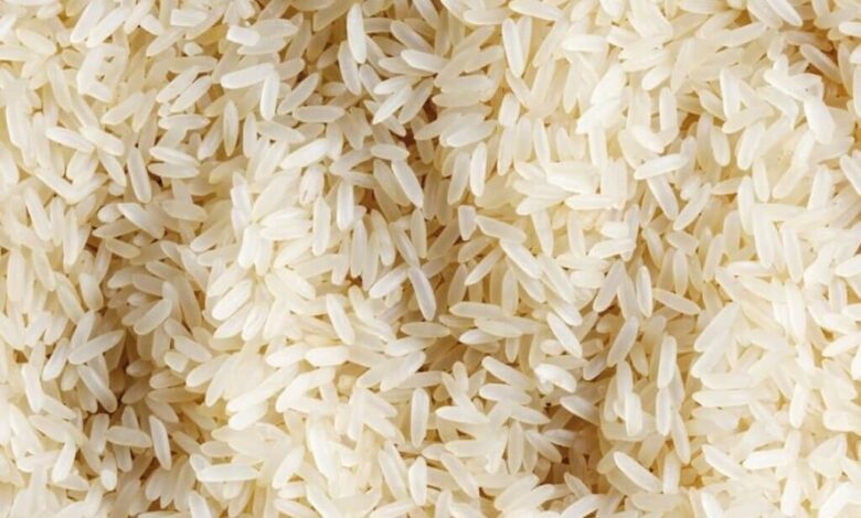 أسعار الأرز اليوم