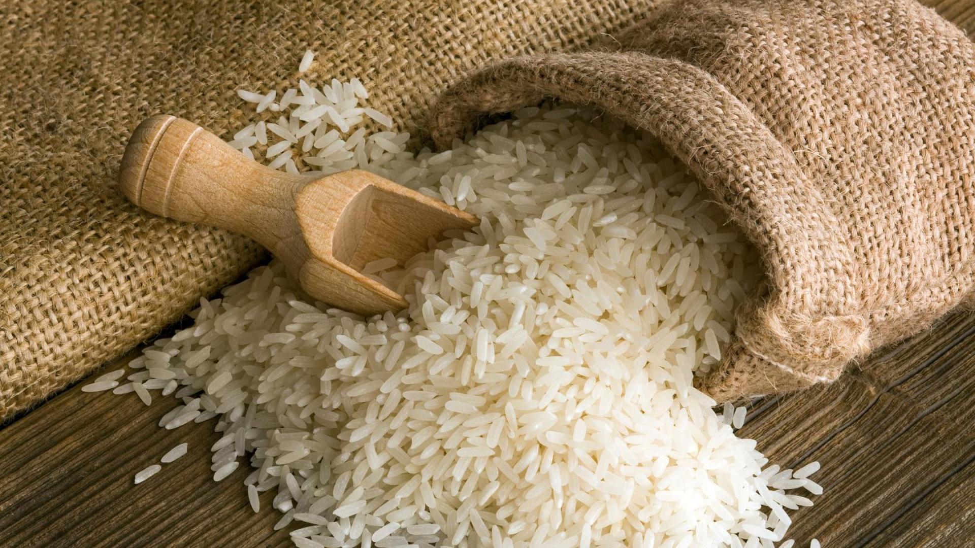 مضارب دمياط