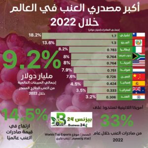 إنفوجراف| تشيلي أكبر مصدري العنب في العالم خلال 2022