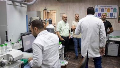 شركات إنتاج وتصدير النباتات الطبية والعطرية