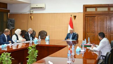 مجال الرفع المساحى
