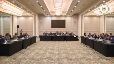 مفاوضات سد النهضة