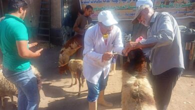 الزراعة