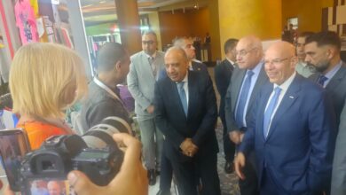 معرض ديستينيش إفريقيا