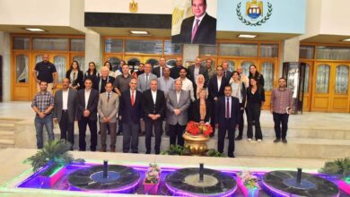 تنمية المشروعات