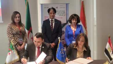 التصديري للتغليف