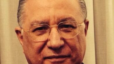 المصرية اللبنانية