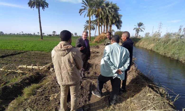 «بحوث الصحراء» ينظم قوافل إرشادية لمزراعي القمح بالوادي الجديد