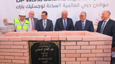موانئ دبي اللوجستية