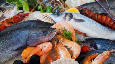 أسعار الأسماك