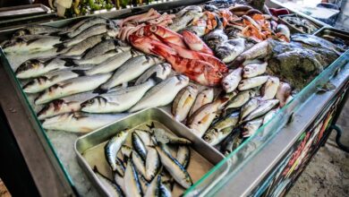 أسعار السمك