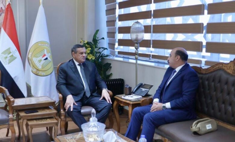التنمية المحلية