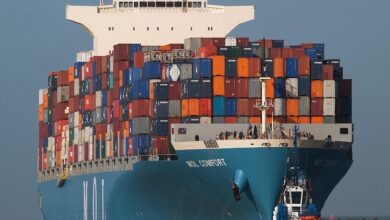 صادرات الغذائية