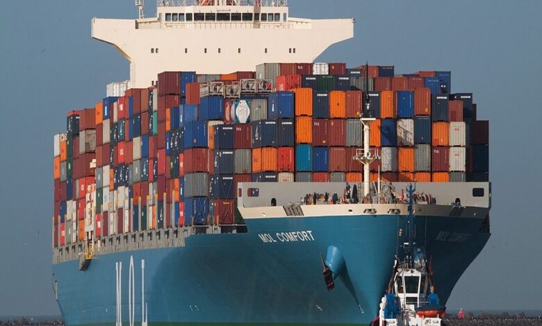 صادرات الغذائية