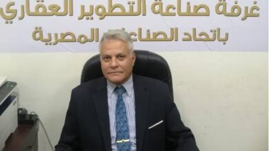 أسامة سعد الدين1